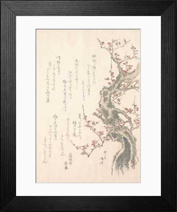 Framed Print : Spring Rain Collection (Harusame shu), vol. 1: Plum Tree in Bloom, ca. 1805-10. ca Framed Print : Spring Rain Collection (Harusame shu), vol. 1: Plum Tree in Bloom, ca. 1805-10. ca