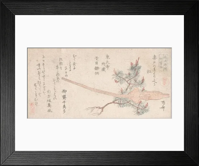 Framed Print : Young Pine Tree and Handle of a Plow, 19th century. 19th century. Creator: Shinsai Framed Print : Young Pine Tree and Handle of a Plow, 19th century. 19th century. Creator: Shinsai