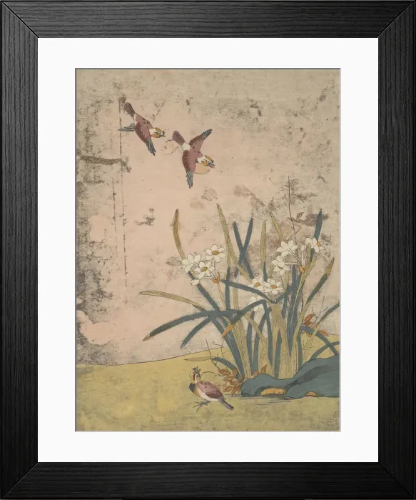 Framed Print : Birds and Narcissus. Creator: Suzuki Harunobu Framed Print : Birds and Narcissus. Creator: Suzuki Harunobu