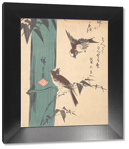 Bamboo and Sparrows, ca. 1840. ca. 1840. Creator: Ando Hiroshige