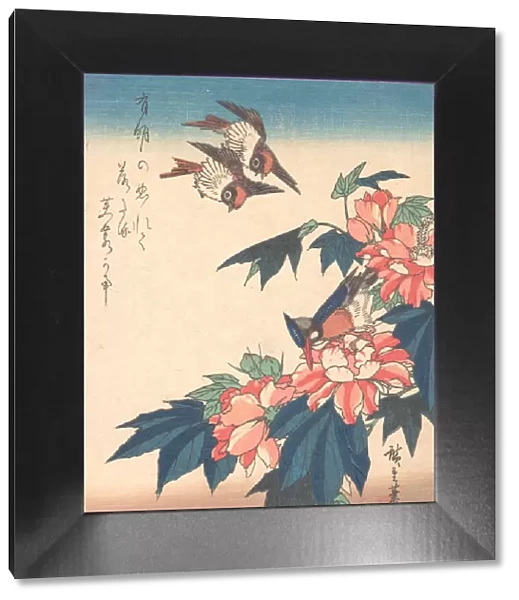 Swallows and Kingfisher with Rose Mallows, ca. 1838. ca. 1838. Creator: Ando Hiroshige