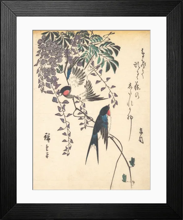 Framed Print : Swallow and Wisteria, mid-1840s. mid-1840s. Creator: Ando Hiroshige Framed Print : Swallow and Wisteria, mid-1840s. mid-1840s. Creator: Ando Hiroshige
