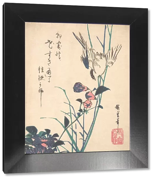 Large-flowered Flat Bill and Sparrow, ca. 1833. ca. 1833. Creator: Ando Hiroshige