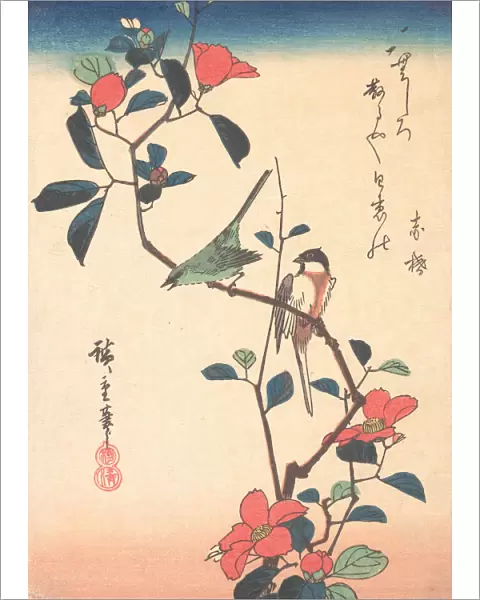 Japanese White-eye and Titmouse on a Camellia Branch, ca. 1840. ca. 1840. Creator: Ando Hiroshige