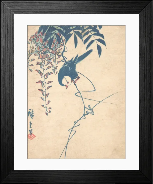Framed Print : Wisteria and White-headed Bird, ca. 1842. ca. 1842. Creator: Ando Hiroshige Framed Print : Wisteria and White-headed Bird, ca. 1842. ca. 1842. Creator: Ando Hiroshige