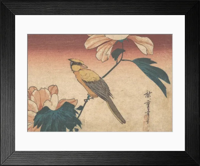 Framed Print : Hibiscus Mutabilis and Jay, ca. 1840. ca. 1840. Creator: Ando Hiroshige