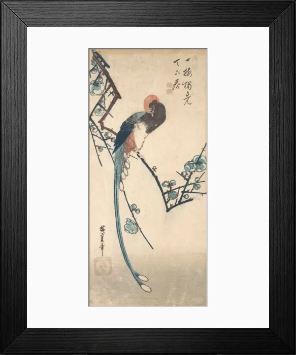 Framed Print : Long Tailed Bird. Creator: Ando Hiroshige Framed Print : Long Tailed Bird. Creator: Ando Hiroshige