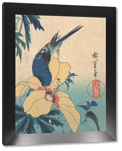 Hibiscus and Bluebird, ca. 1832. ca. 1832. Creator: Ando Hiroshige