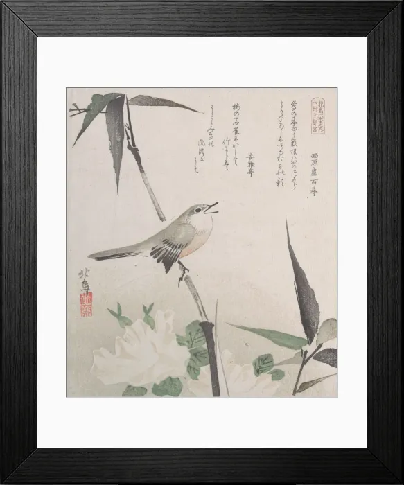 Framed Print : Roses and Bamboo with Nightingale, 19th century. 19th century. Creator: Hokuba Framed Print : Roses and Bamboo with Nightingale, 19th century. 19th century. Creator: Hokuba