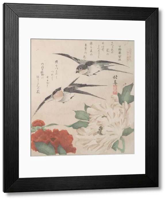 Framed Print : Spring Rain Collection (Harusame shu), vol. 3: Swallows and Peonies, ca. 1820. ca. 1820 Framed Print : Spring Rain Collection (Harusame shu), vol. 3: Swallows and Peonies, ca. 1820. ca. 1820
