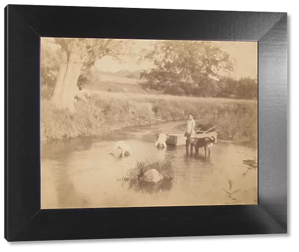 [Three Children and a Dog Playing in the Creek, July 4, 1883], 1883. 1883
