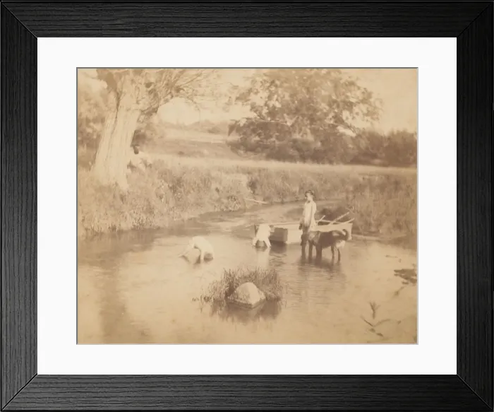 Framed Print : [Three Children and a Dog Playing in the Creek, July 4, 1883], 1883. 1883