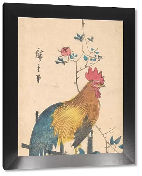 Peony and Cock, 1854. 1854. Creator: Ando Hiroshige