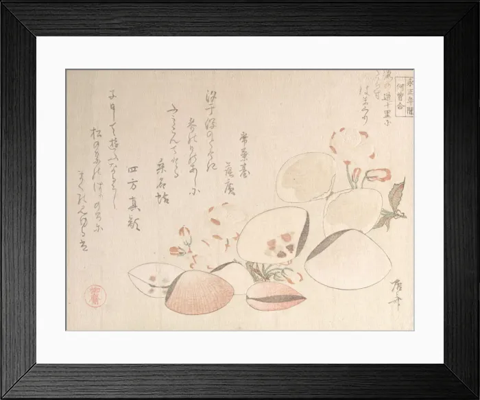 Framed Print : Cherry Blossoms and Shells, 19th century. 19th century. Creator: Shinsai Framed Print : Cherry Blossoms and Shells, 19th century. 19th century. Creator: Shinsai