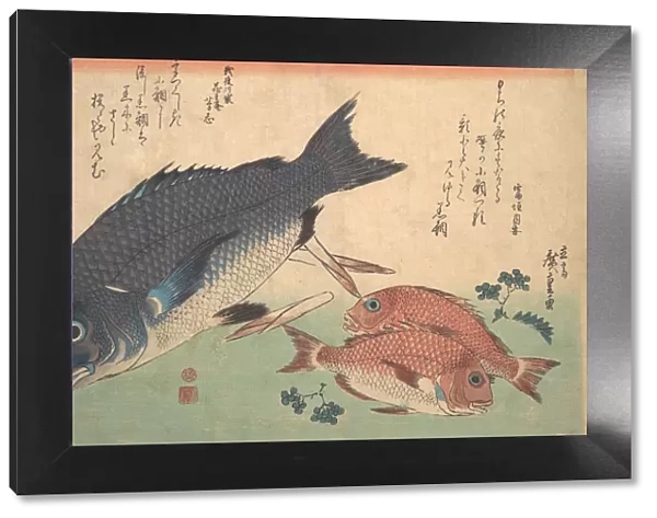 Kurodai and Kodai Fish with Bamboo Shoots and Berries, from the series Uozukushi (Every V... 1830s. Creator: Ando Hiroshige)