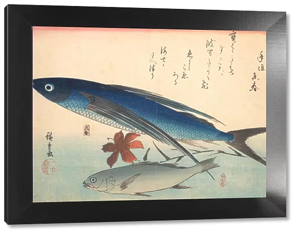 Tobiuo and Ishimochi Fish, from the series Uozukushi (Every Variety of Fish), 1840s. 1840s. Creator: Ando Hiroshige