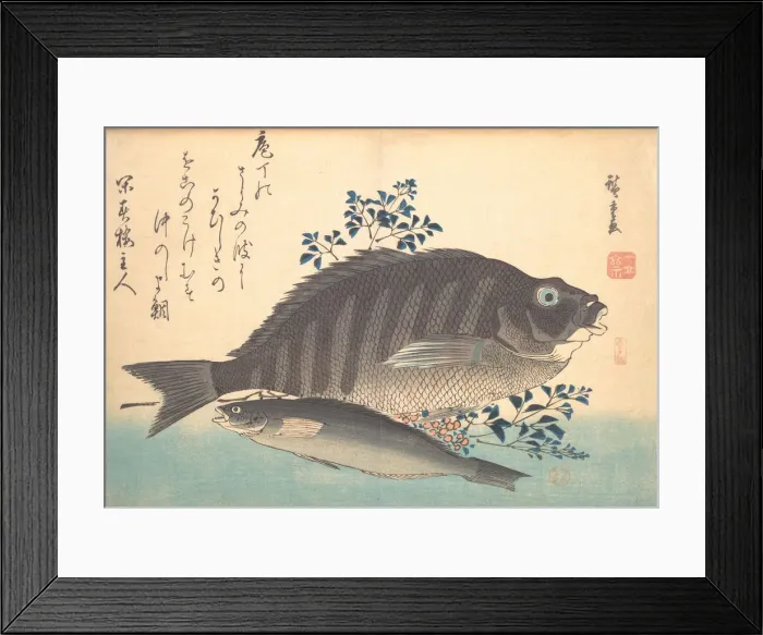 Framed Print : Shimadai and Ainame Fish, from the series Uozukushi (Every Variety of Fish), 1840s. 1840s. Creator: Ando Hiroshige Framed Print : Shimadai and Ainame Fish, from the series Uozukushi (Every Variety of Fish), 1840s. 1840s. Creator: Ando Hiroshige