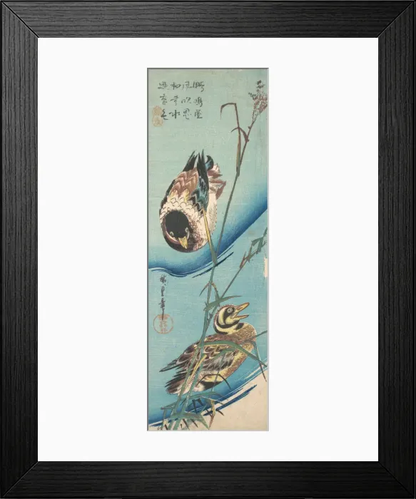 Framed Print : Mallard Ducks and Snow-covered Reeds, ca. 1843. ca. 1843. Creator: Ando Hiroshige Framed Print : Mallard Ducks and Snow-covered Reeds, ca. 1843. ca. 1843. Creator: Ando Hiroshige