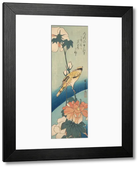 Framed Print : A Black-Naped Oriole on a Stem of Rose Mallow, ca. 1834. ca. 1834. Creator: Ando Hiroshige Framed Print : A Black-Naped Oriole on a Stem of Rose Mallow, ca. 1834. ca. 1834. Creator: Ando Hiroshige