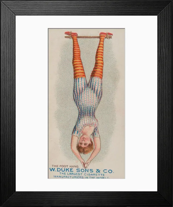 Framed Print : The Foot Hang, from the Gymnastic Exercises series (N77) for Duke brand cigarettes, 1887 Framed Print : The Foot Hang, from the Gymnastic Exercises series (N77) for Duke brand cigarettes, 1887
