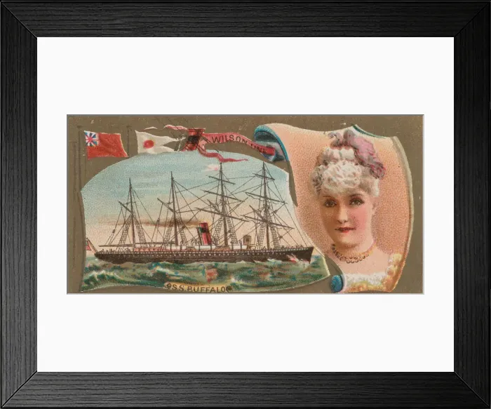 Framed Print : Steamship Buffalo, Wilson Line, from the Ocean and River Steamers series (N83 Framed Print : Steamship Buffalo, Wilson Line, from the Ocean and River Steamers series (N83