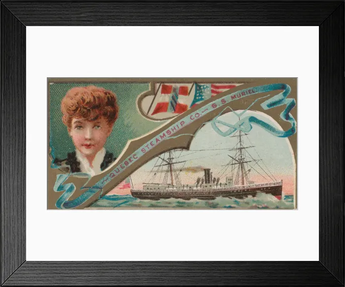 Framed Print : Steamship Muriel, Quebec Steamship Company, from the Ocean and River Steamers series (N83 Framed Print : Steamship Muriel, Quebec Steamship Company, from the Ocean and River Steamers series (N83
