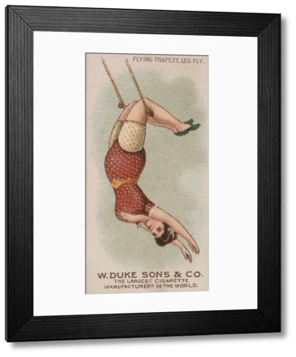 Framed Print : Flying Trapeze Leg Fly, from the Gymnastic Exercises series (N77 Framed Print : Flying Trapeze Leg Fly, from the Gymnastic Exercises series (N77