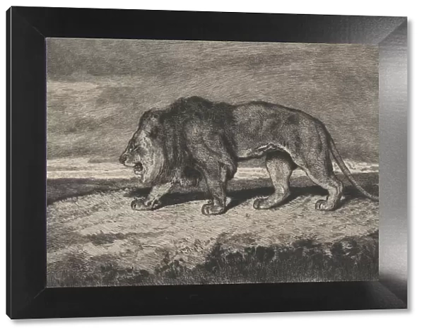 Lion walking, 1866-1897. Creator: Charles Courtry