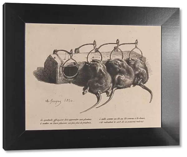 Mousetrap, 1860. Creator: Charles Emile Jacque