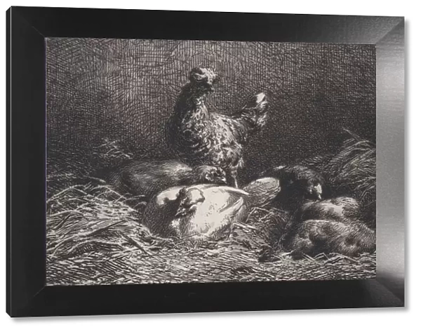 Poules, 1867. Creator: Charles Emile Jacque