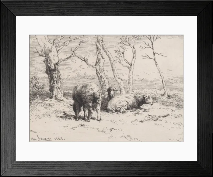 Framed Print : Moutons, 1868. Creator: Charles Emile Jacque Framed Print : Moutons, 1868. Creator: Charles Emile Jacque