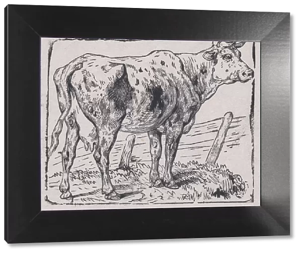 A Cow, ca. 1853. Creator: Charles Emile Jacque