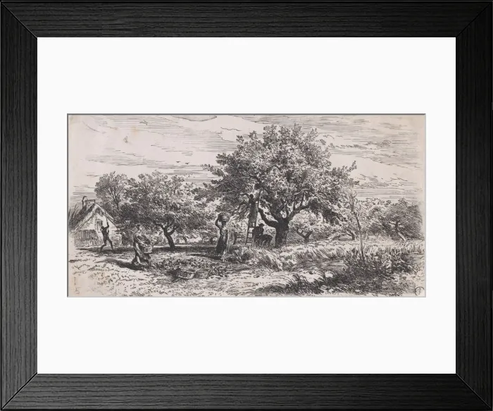 Framed Print : Picking fruit from tree outside cottage, ca. 1852. Creator: Charles Emile Jacque Framed Print : Picking fruit from tree outside cottage, ca. 1852. Creator: Charles Emile Jacque