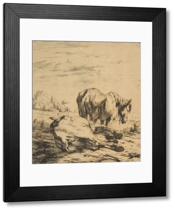 Framed Print : Two Horses, 1850. Creator: Charles Meryon Framed Print : Two Horses, 1850. Creator: Charles Meryon