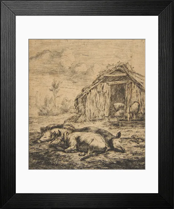Framed Print : Three Pigs Lying in Front of a Shed, 1850. Creator: Charles Meryon Framed Print : Three Pigs Lying in Front of a Shed, 1850. Creator: Charles Meryon