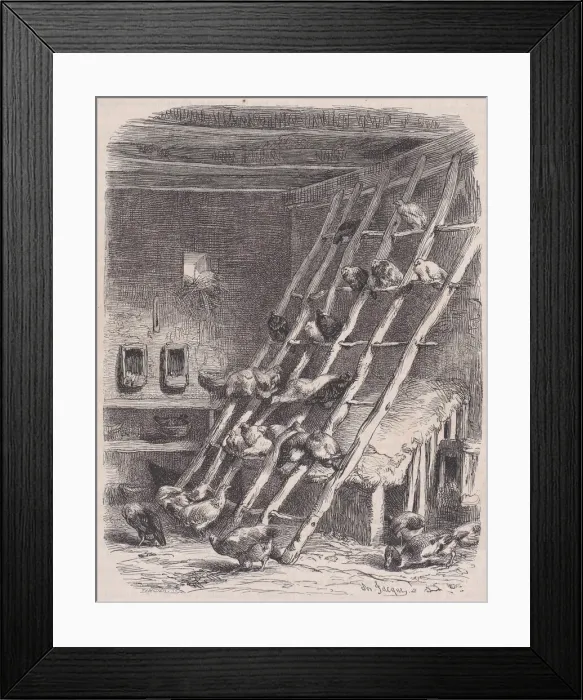 Framed Print : Visit to a Farm - The Roost, from Le Magasin Pittoresque, ca. 1852 Framed Print : Visit to a Farm - The Roost, from Le Magasin Pittoresque, ca. 1852