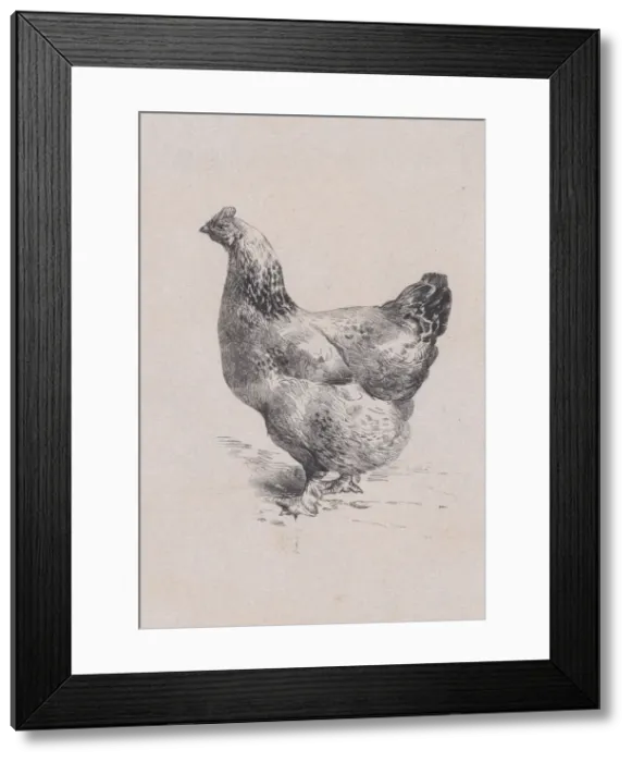 Framed Print : From The Henhouse, 1858. Creator: Jacques-Adrien Lavieille Framed Print : From The Henhouse, 1858. Creator: Jacques-Adrien Lavieille