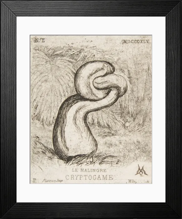 Framed Print : The puny Cryptogamia, 1860. Creator: Charles Meryon Framed Print : The puny Cryptogamia, 1860. Creator: Charles Meryon