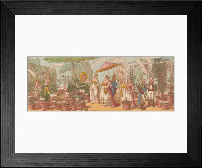 Framed Print : Imperial Botany - or a Peep at Josephines Collection of English Exoticks, vide t Framed Print : Imperial Botany - or a Peep at Josephines Collection of English Exoticks, vide t