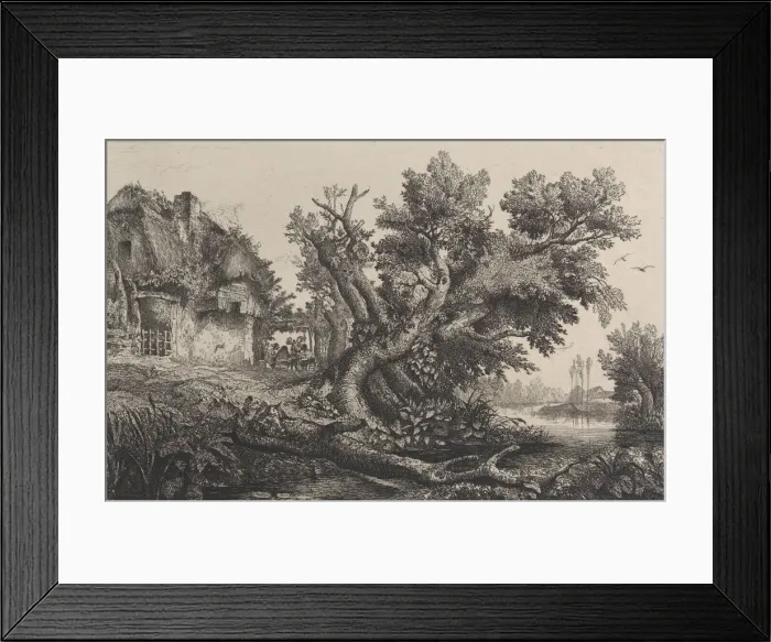 Framed Print : La Tonnelle, 1838. Creator: Charles Francois Daubigny Framed Print : La Tonnelle, 1838. Creator: Charles Francois Daubigny
