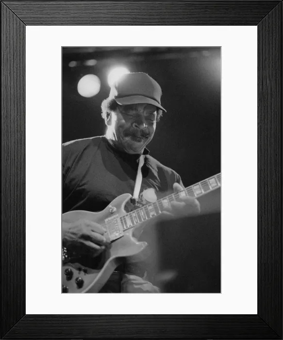 Framed Print : Matt Guitar'Murphy, North Sea Jazz Festival, The Hague, Netherlands, 1999 Framed Print : Matt Guitar'Murphy, North Sea Jazz Festival, The Hague, Netherlands, 1999