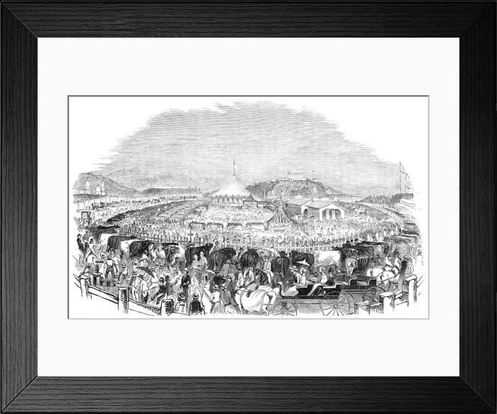 Framed Print : The Great Poughkeepsie Cattle Show, 1844. Creator: Smyth Framed Print : The Great Poughkeepsie Cattle Show, 1844. Creator: Smyth