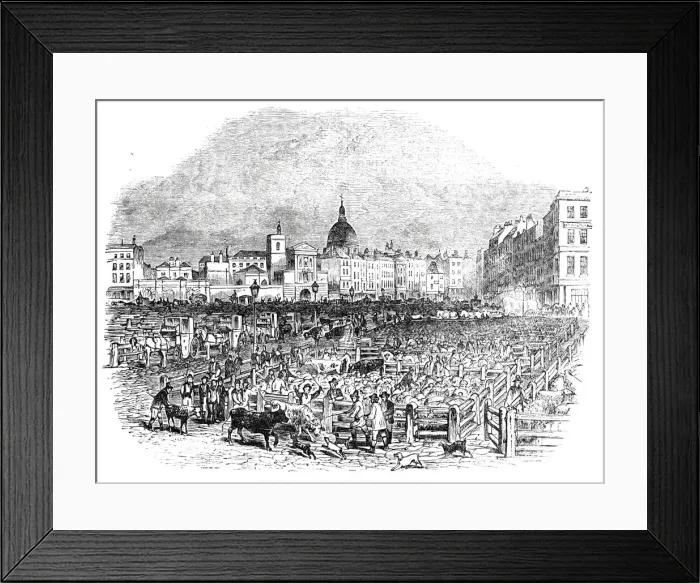 Framed Print : Smithfield Cattle Market, at Christmas, 1844. Creator: Unknown Framed Print : Smithfield Cattle Market, at Christmas, 1844. Creator: Unknown
