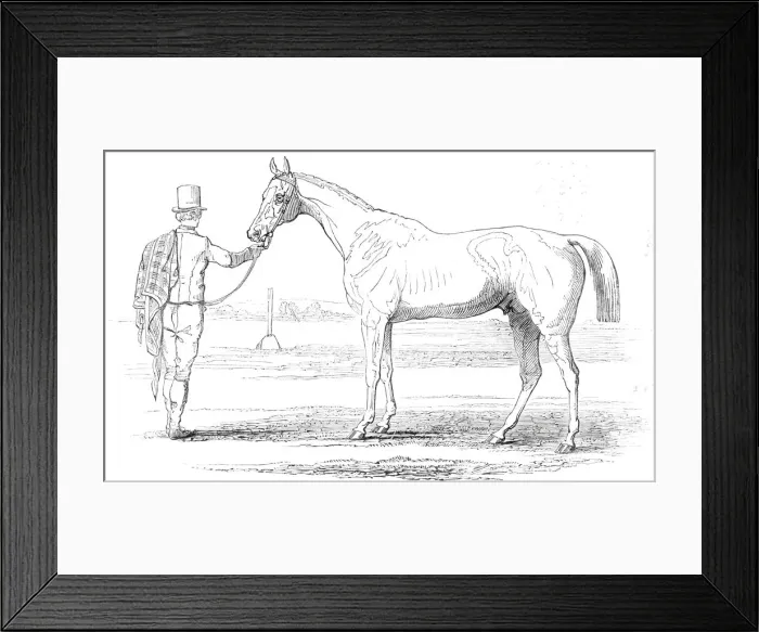 Framed Print : Colonel Peels Orlando, the winner of the Derby, drawn by J. F. Herring Sen Framed Print : Colonel Peels Orlando, the winner of the Derby, drawn by J. F. Herring Sen