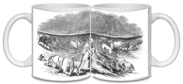 American prairie on fire, 1844. Creator: Unknown