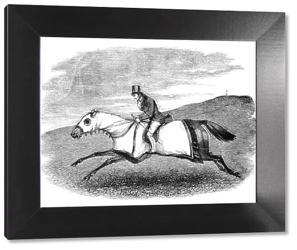 Horse-training, 1844. Creator: Unknown