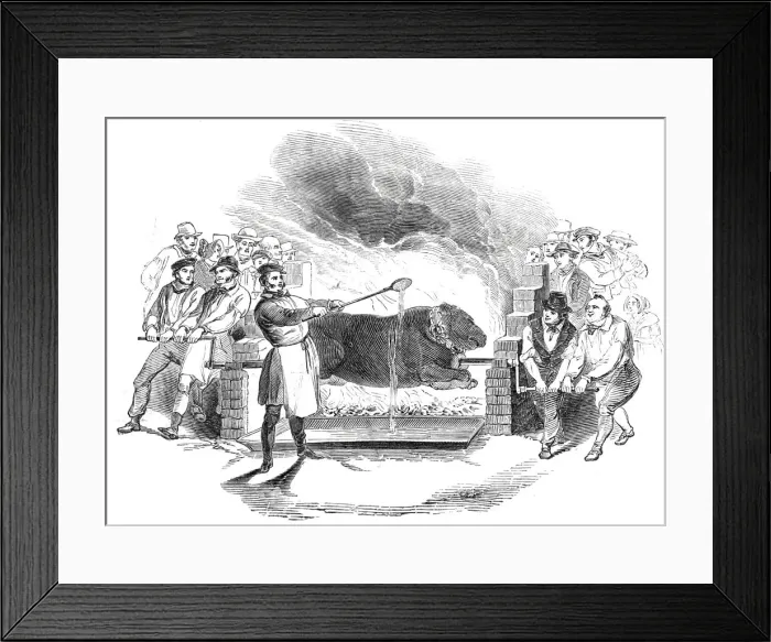Framed Print : Roasting the ox, at Buckingham, 1844. Creator: Unknown Framed Print : Roasting the ox, at Buckingham, 1844. Creator: Unknown
