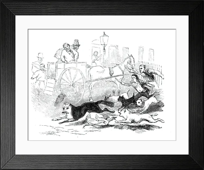 Framed Print : Novel fox hunt, 1844. Creator: Unknown Framed Print : Novel fox hunt, 1844. Creator: Unknown