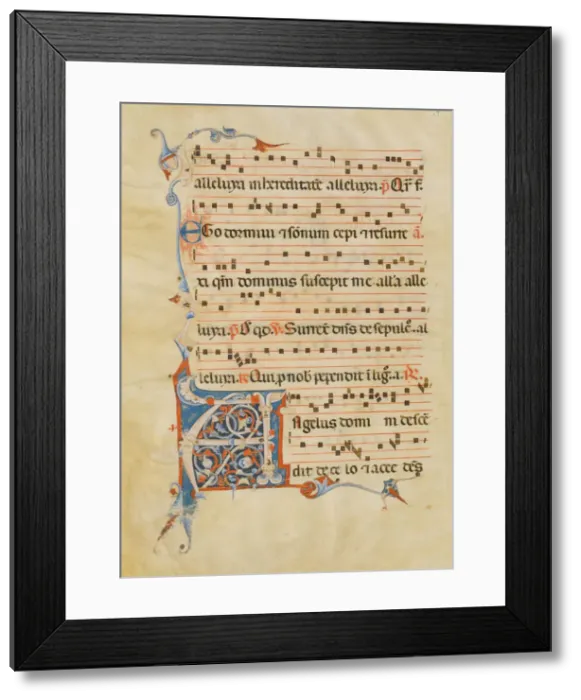 Framed Print : Manuscript Leaf with Foliated Initial A, from an Antiphonary, Italian, 14th century Framed Print : Manuscript Leaf with Foliated Initial A, from an Antiphonary, Italian, 14th century