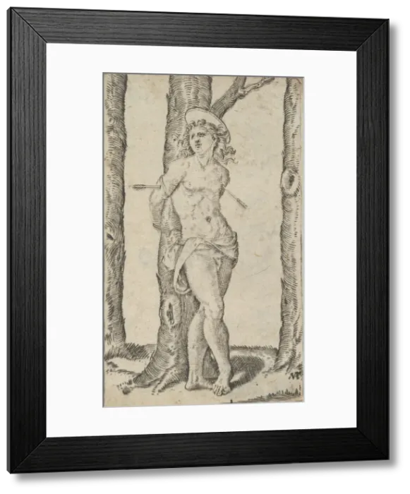 Framed Print : Saint Sebastian tied to tree pierced with arrows, from the series Piccoli Santi... ca Framed Print : Saint Sebastian tied to tree pierced with arrows, from the series Piccoli Santi... ca